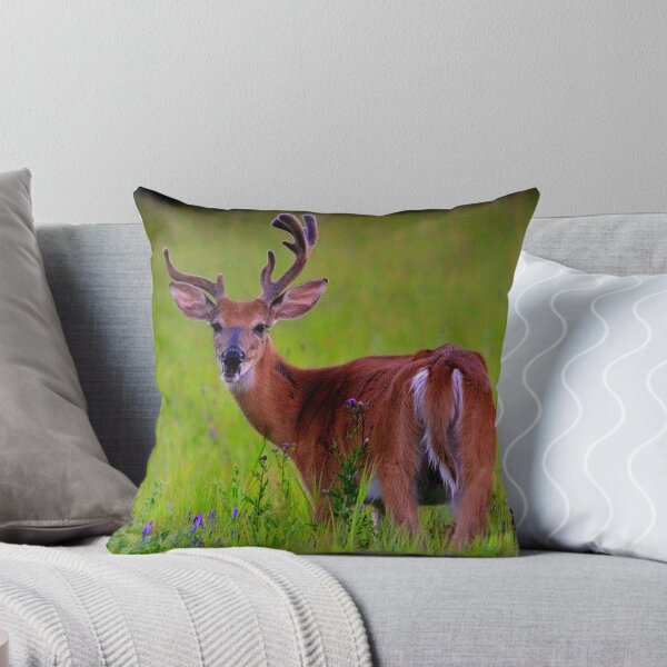 Item preview, Young Buck designed and sold by Larry Trupp.