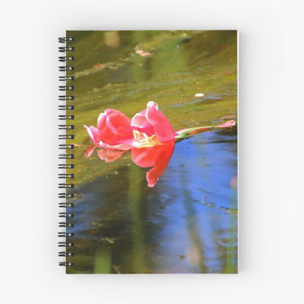 Item preview, AFLOAT designed and sold by Larry Trupp.