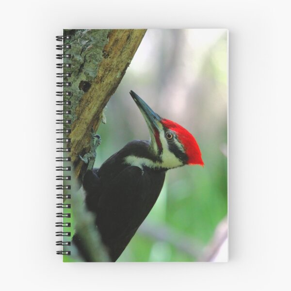 Item preview, PILEATED WOODPECKER designed and sold by Larry Trupp.