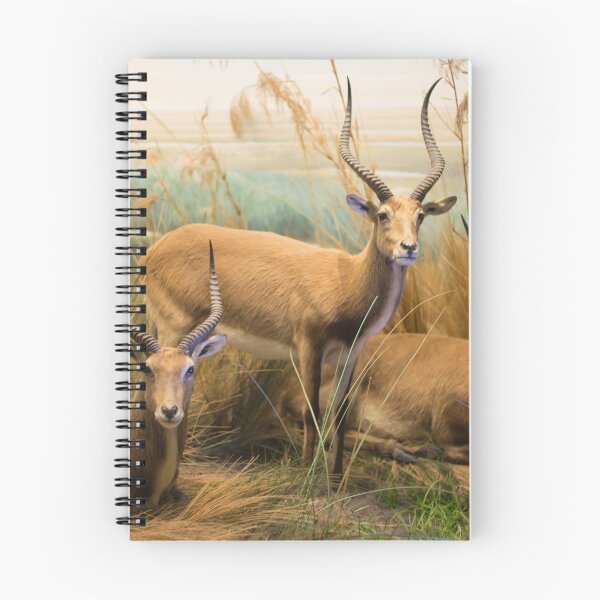 Item preview, African Impalas designed and sold by Diego Re.