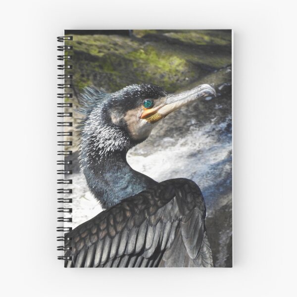 Item preview, Cormorant designed and sold by Louisamhocking.