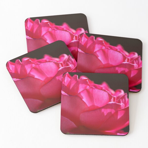Item preview, Bold and Bright Pink Rose designed and sold by Joy Watson - Natural Light Photography .