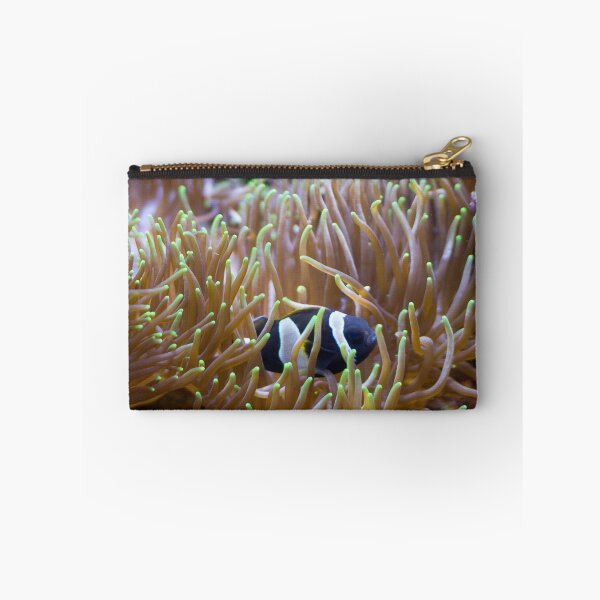 Item preview, Black Clown Fish designed and sold by Diego Re.