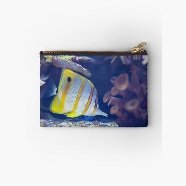 Item preview, Copperband Butterflyfish designed and sold by Diego Re.