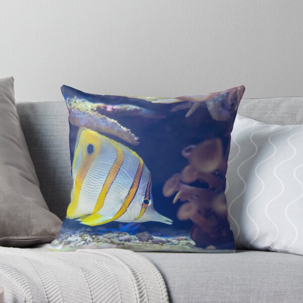 Item preview, Copperband Butterflyfish designed and sold by Diego Re.
