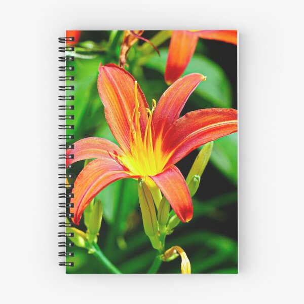 Item preview, Lily Macro - Red/Orange Flower With Green Foliage Background designed and sold by Harmony Of The Mind.