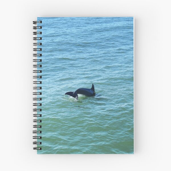 Item preview, Getting a Little Tail at the Naples Pier designed and sold by Susan Wallace.