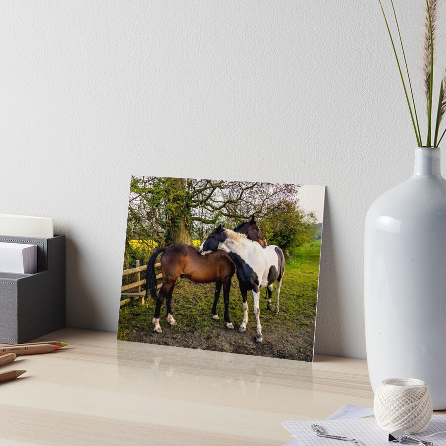 Item preview, Art Board Print designed and sold by ScenicViewPics.