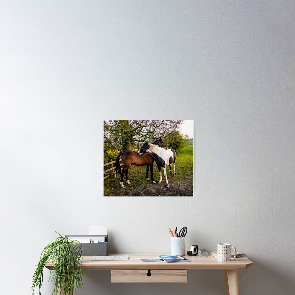Item preview, Poster designed and sold by ScenicViewPics.
