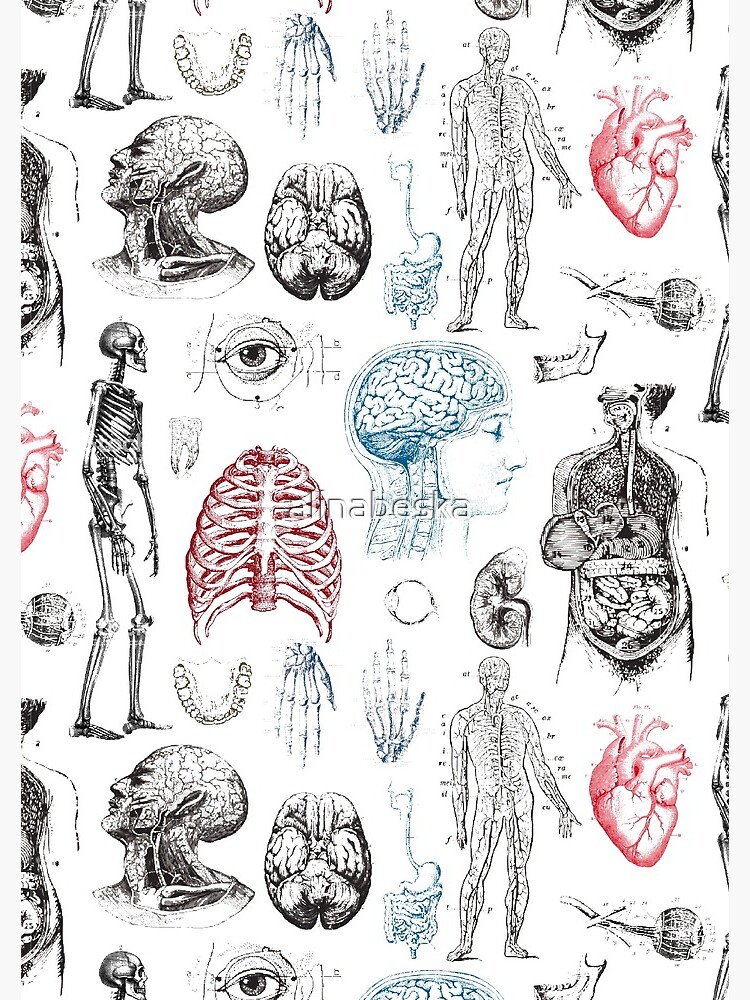 Vintage Anatomy Digital Paper, Seamless Anatomical Illustrations