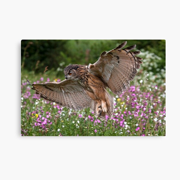 Landing Approach Canvas Print