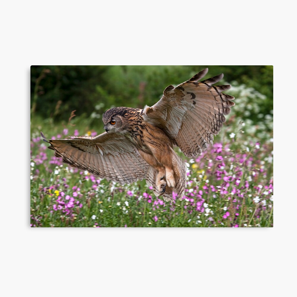 Landing Approach Canvas Print