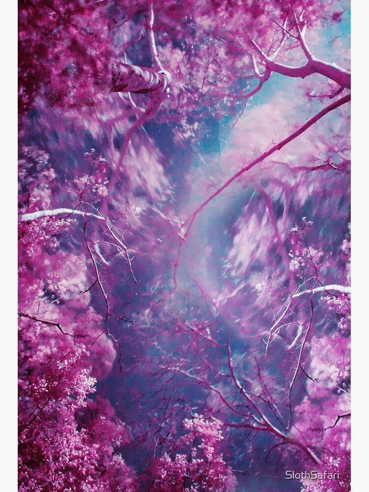 Siege Forenkle Åbent Trippy Nature" Art Board Print by SlothSafari | Redbubble