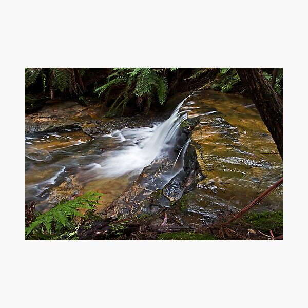 Item preview, Leura Cascades designed and sold by rossandcher.