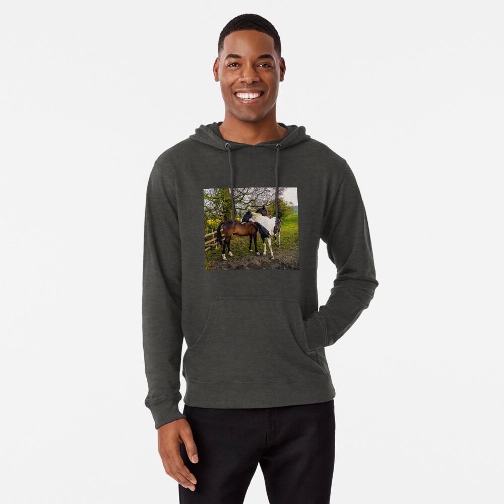 Item preview, Lightweight Hoodie designed and sold by ScenicViewPics.