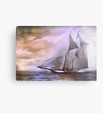 Schooner..... Metal Print