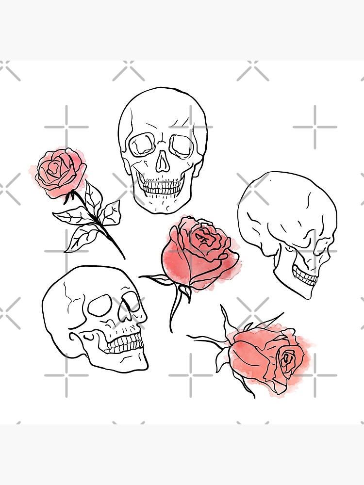 Skull Simple Drawing PNG Transparent Images Free Download | Vector Files |  Pngtree