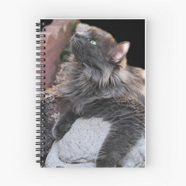 Item preview, What's That? designed and sold by heatherfriedman.