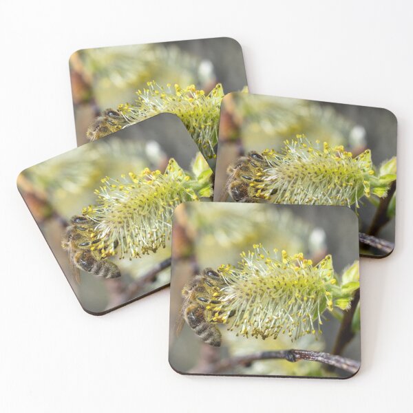Item preview, I've been waiting through the Winter! designed and sold by Kasia Design.