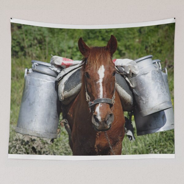 Item preview, Work horse designed and sold by Gaspar Avila.