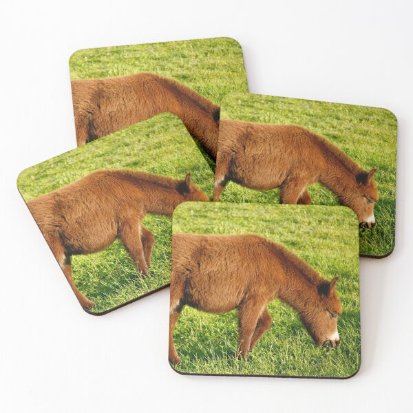 Item preview, Baby donkey grazing designed and sold by Gaspar Avila.
