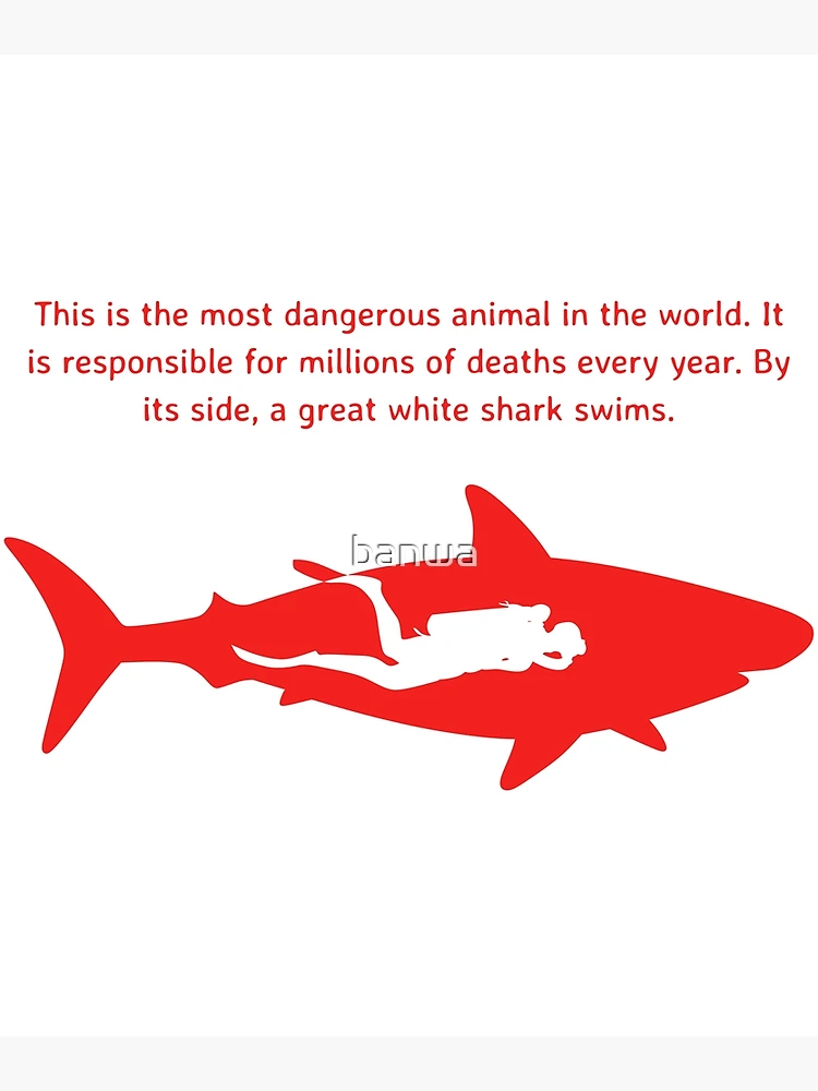 flat,750x,075,f-pad,750x1000,