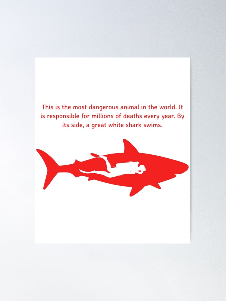 fposter,medium,wall_texture,