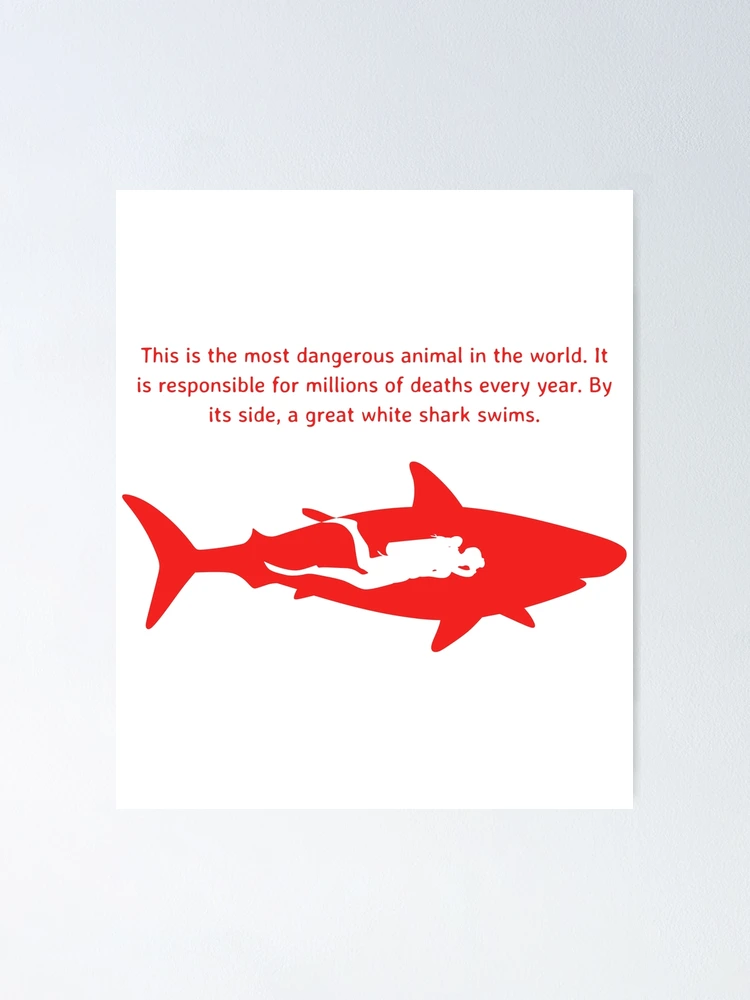Most Dangerous Scuba Diver print Great White Shark product