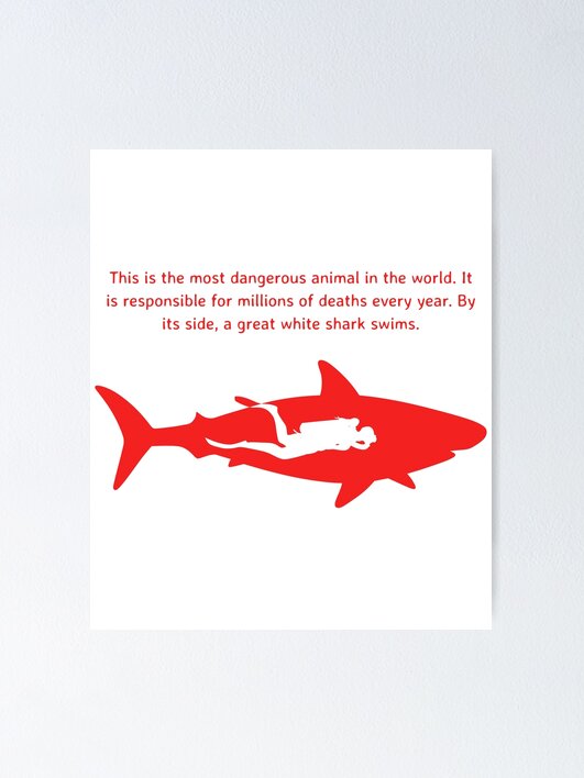 ★レア★THE WORLD MOST DANGEROUS SHARKS ポスター ☆レア☆THE WORLD MOST DANGEROUS SHARKS ポスター - メルカリ