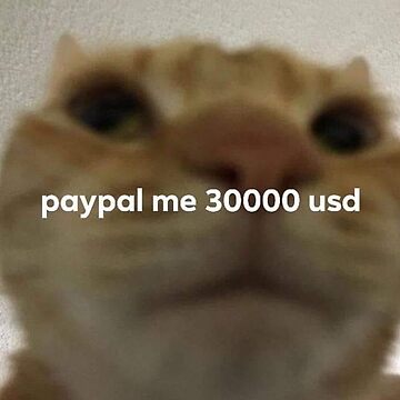 paypal me 30,000 usd