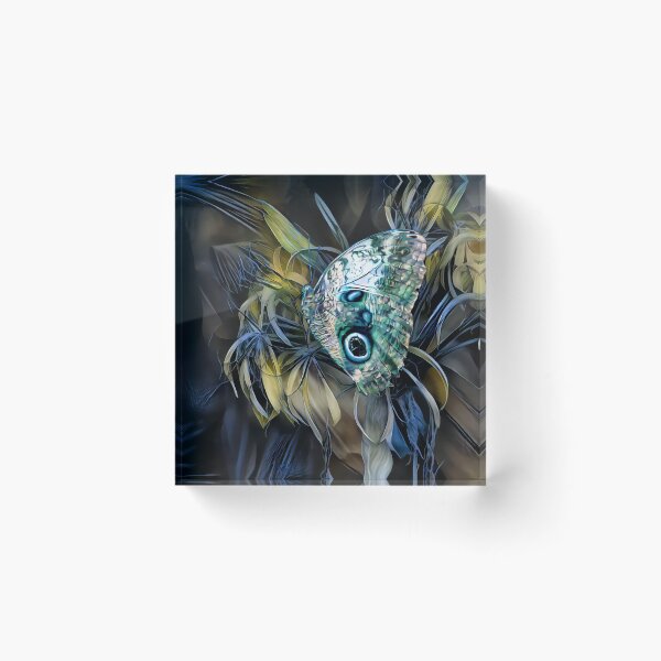Item preview, Abalone Butterfly designed and sold by ArtlyStudio.