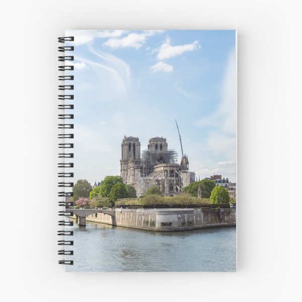 Item preview, Notre Dame de Paris after the fire designed and sold by Ulysse Pixel.