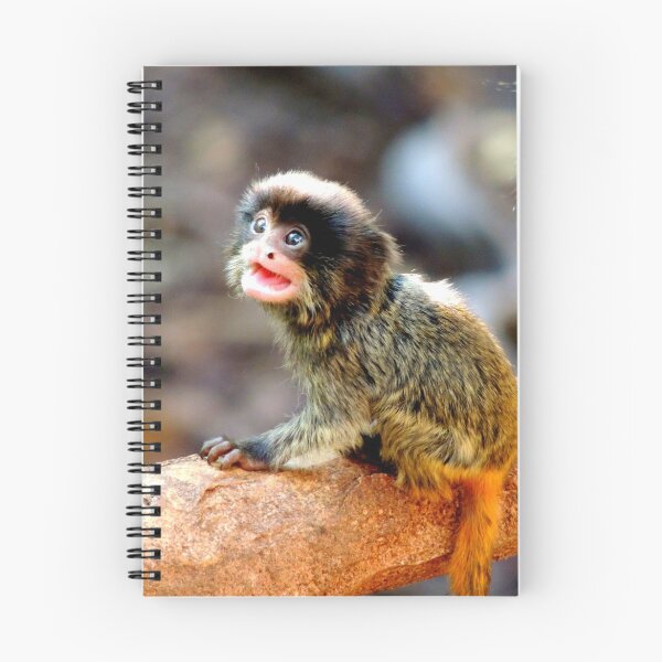 Item preview, Baby Emperor Tamarin designed and sold by Barnbk02.