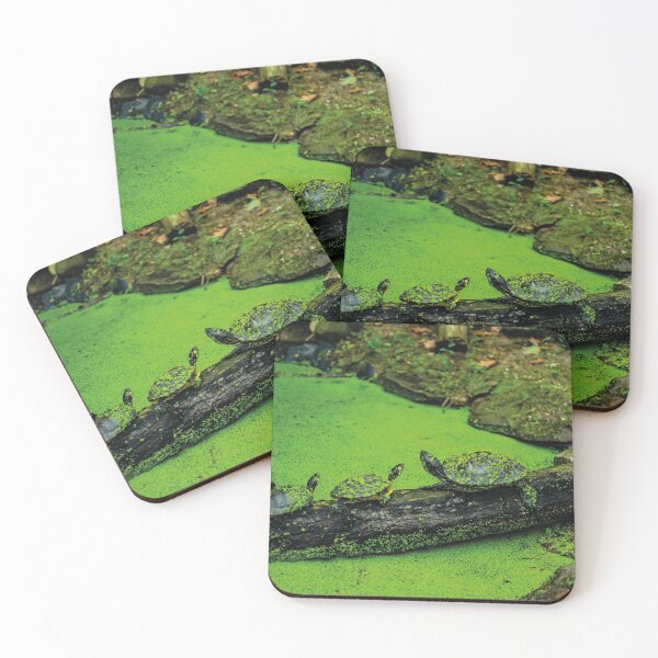 Item preview, Terrapin line designed and sold by Arc1.