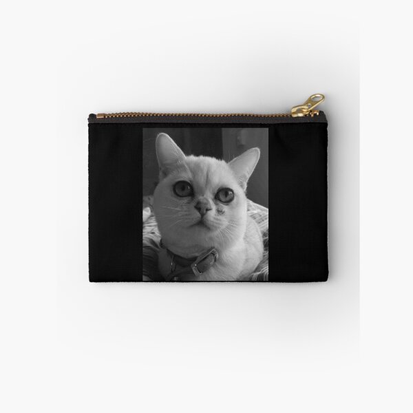 Item preview, Cute kitten Burmilla in Grey designed and sold by jazzydevil.