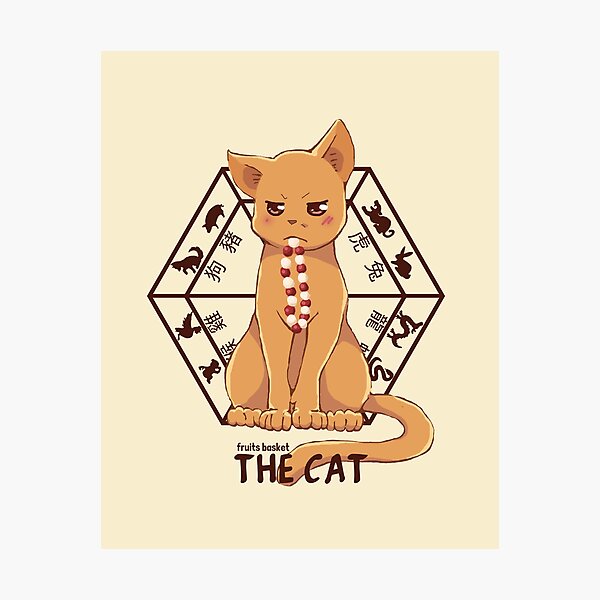 Kyo the cat Photographic Print