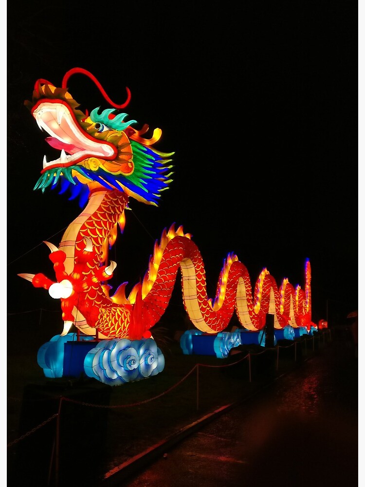 chinese lantern dragon