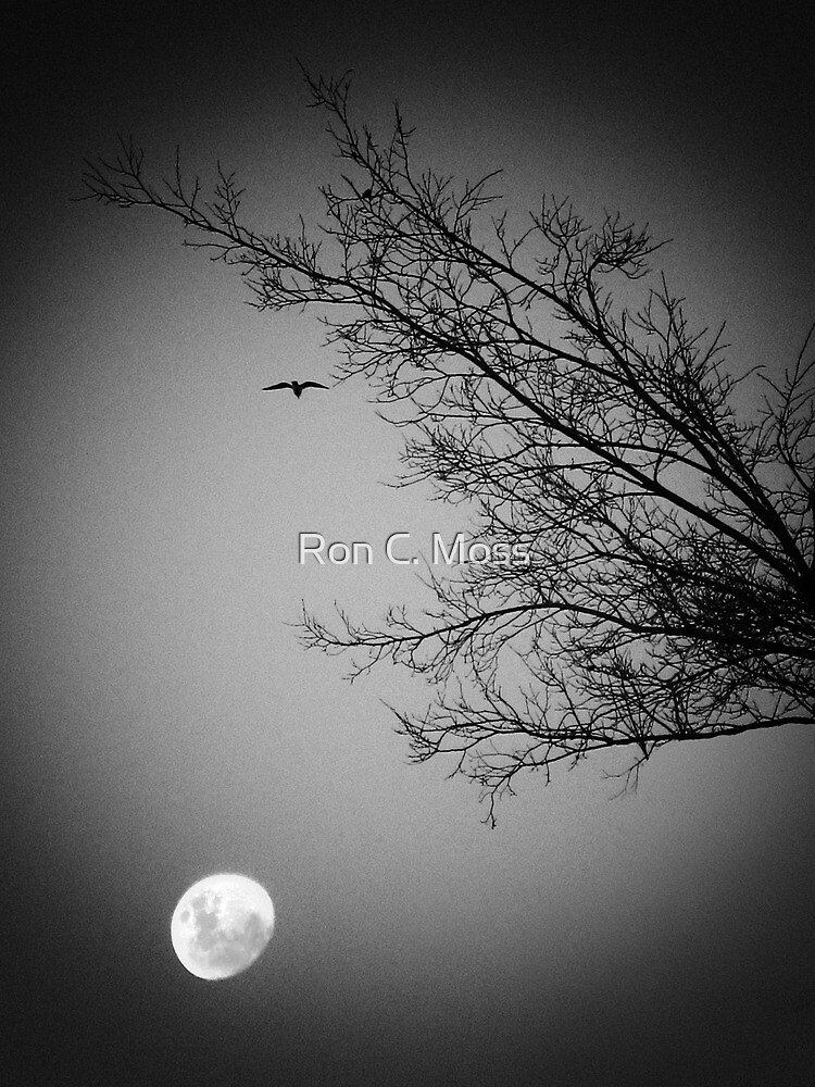 Night Flight by ronmoss