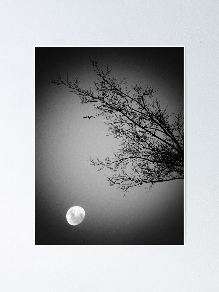 Alternate view of Night Flight Poster