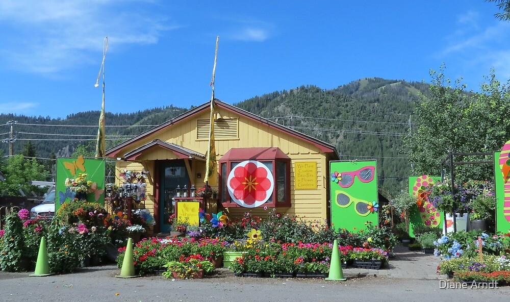 "Little What Not Shop...Hailey, Idaho" by Diane Arndt Redbubble