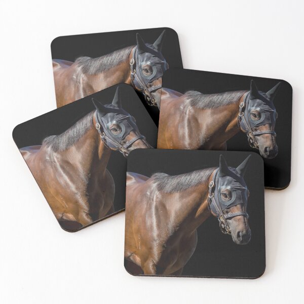 Item preview, Winx - With Hood - Farewell Tour  designed and sold by FastTrackPhotog.