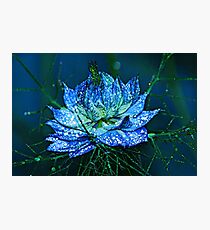 Blue Love Photographic Print