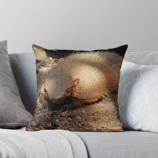 Aperçu de l'œuvre Hairy Armadillo créée et vendue par Barnbk02.