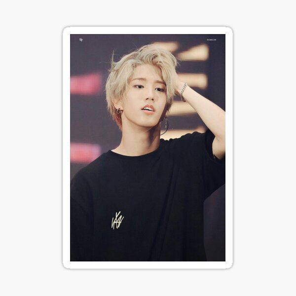 Han Jisung Sticker