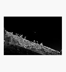 Tough going as the moon looks down Photographic Print