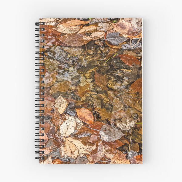 Item preview, Hojas de otoño en primavera designed and sold by Sue Smith.