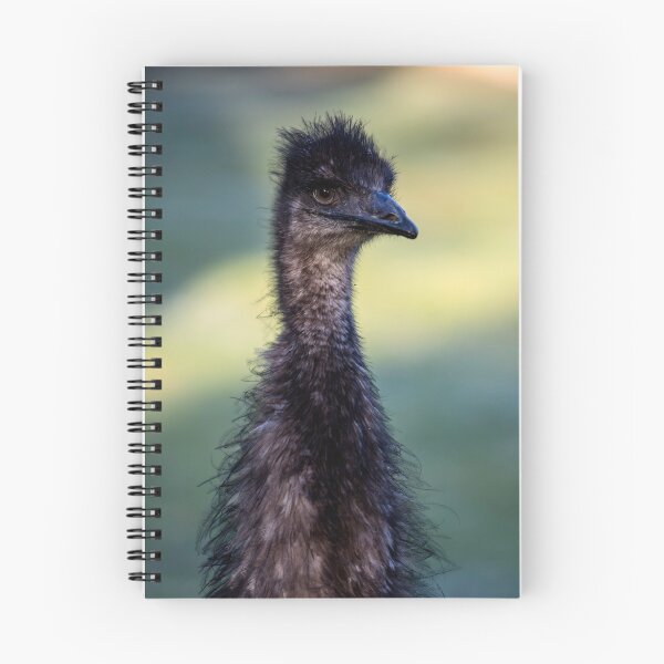 Item preview, Old Man Emu (my first 5DS R post) designed and sold by Travis Easton.