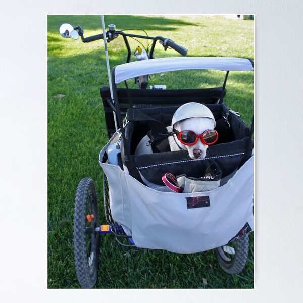 Item preview, Chihuahua, the Biker Babe  designed and sold by Corri Gryting Gutzman.