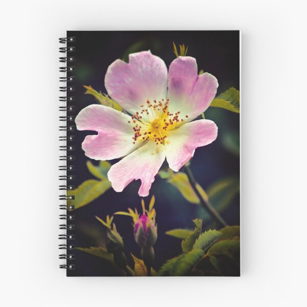 Item preview, A Wild Rose designed and sold by Vicki Field.