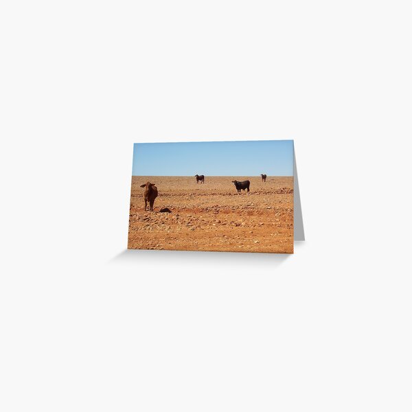 What's big, red and eats rocks? Greeting Card